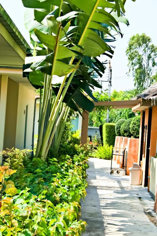 Garden Hills Villa Resort 차암 외부 사진